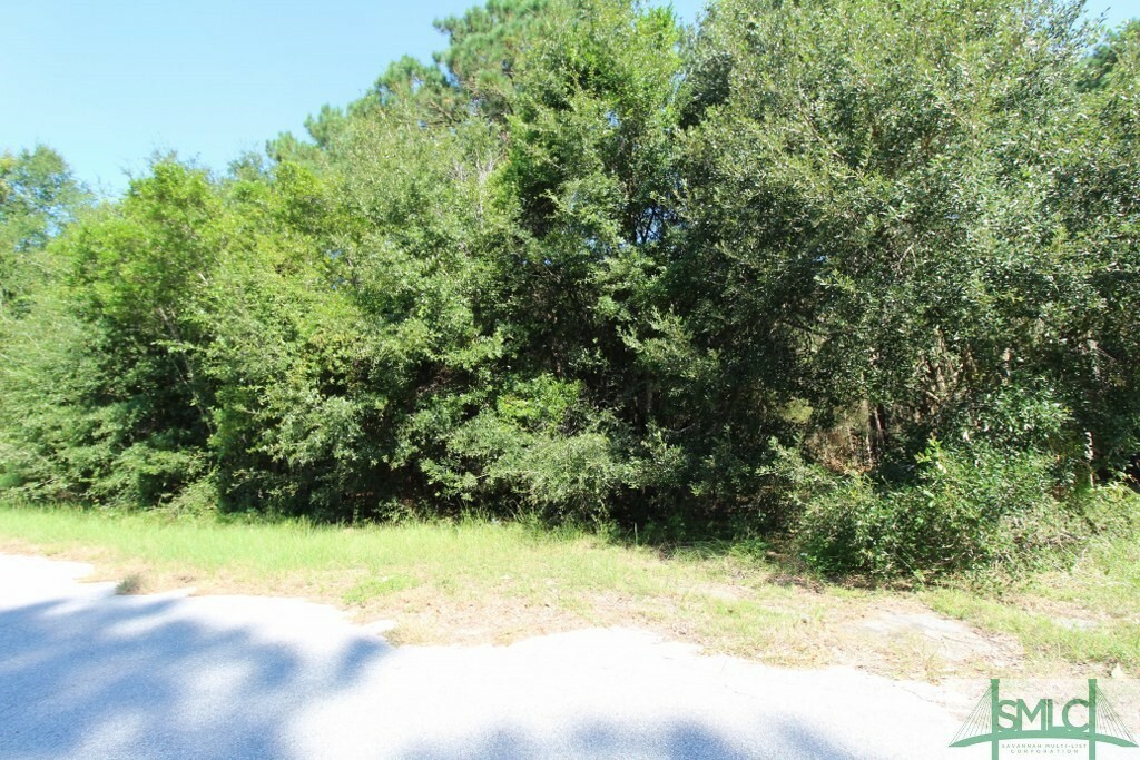 Property Photo:  234 Sam Doyle Drive  SC 29920 