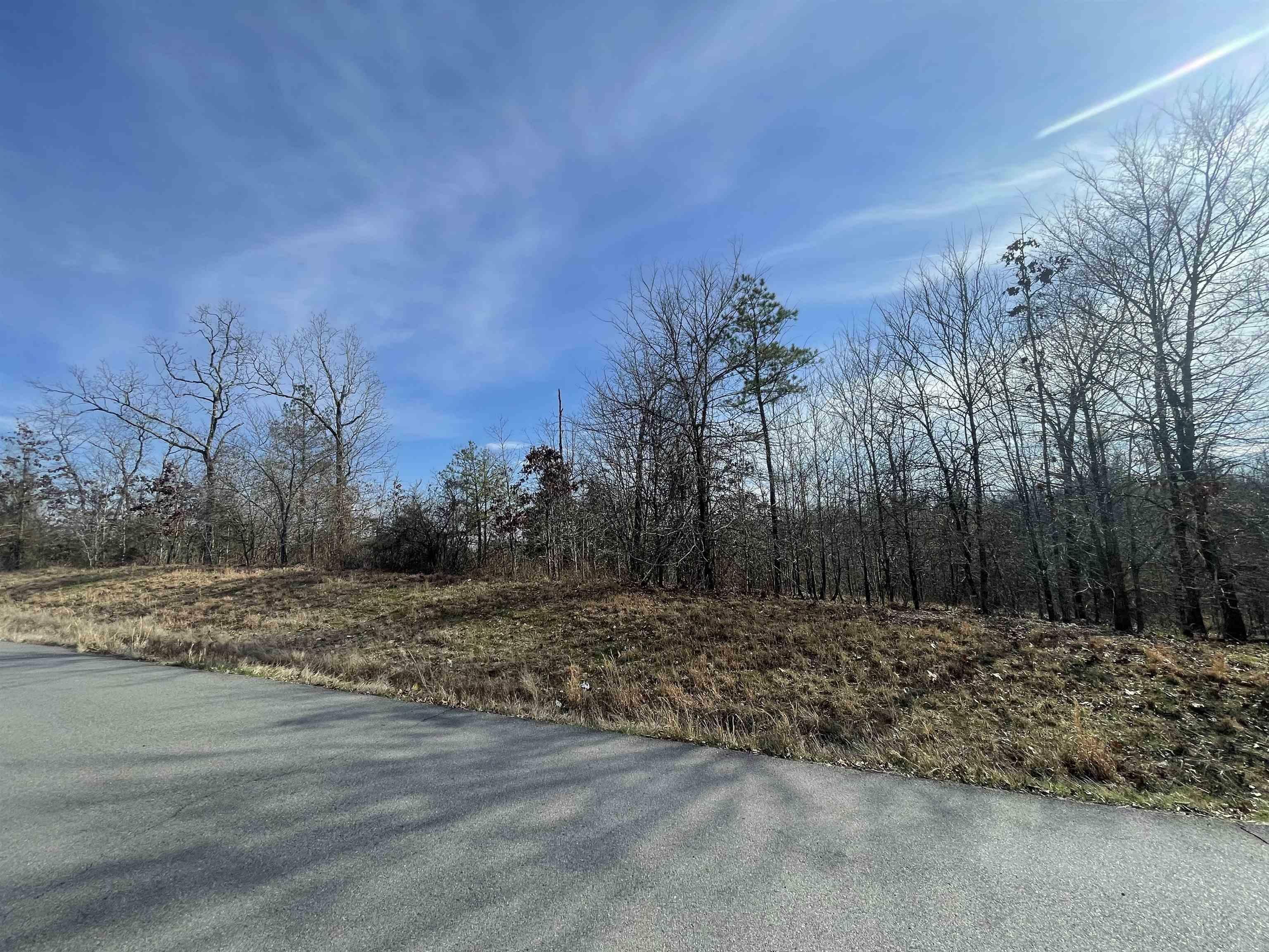 Property Photo:  Lot 12 N Lake Norrell Road  AR 72002 