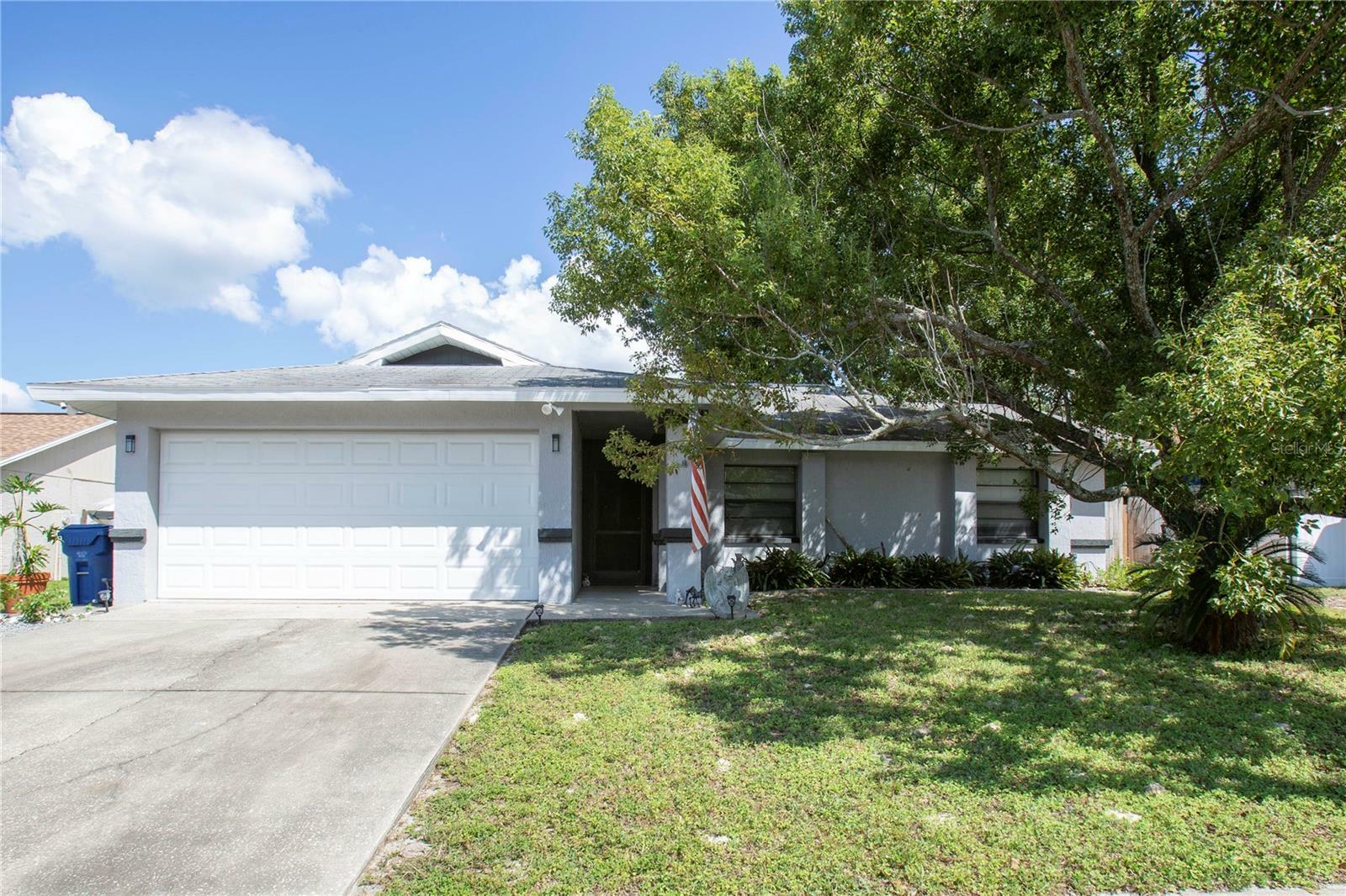 Property Photo:  8102 Buttonball Lane  FL 34668 