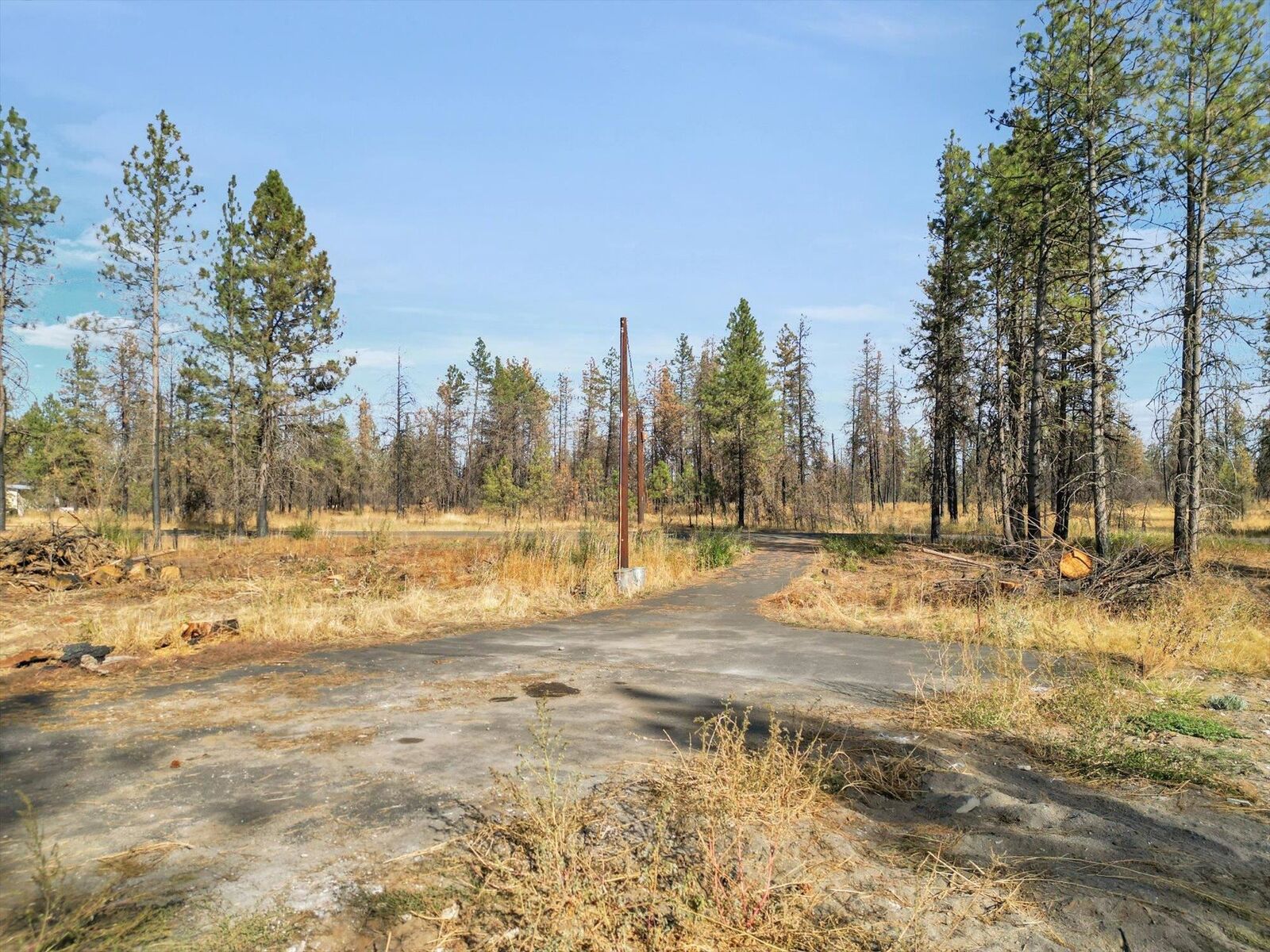 Property Photo:  16120 S Clear Lake Rd  WA 99004 