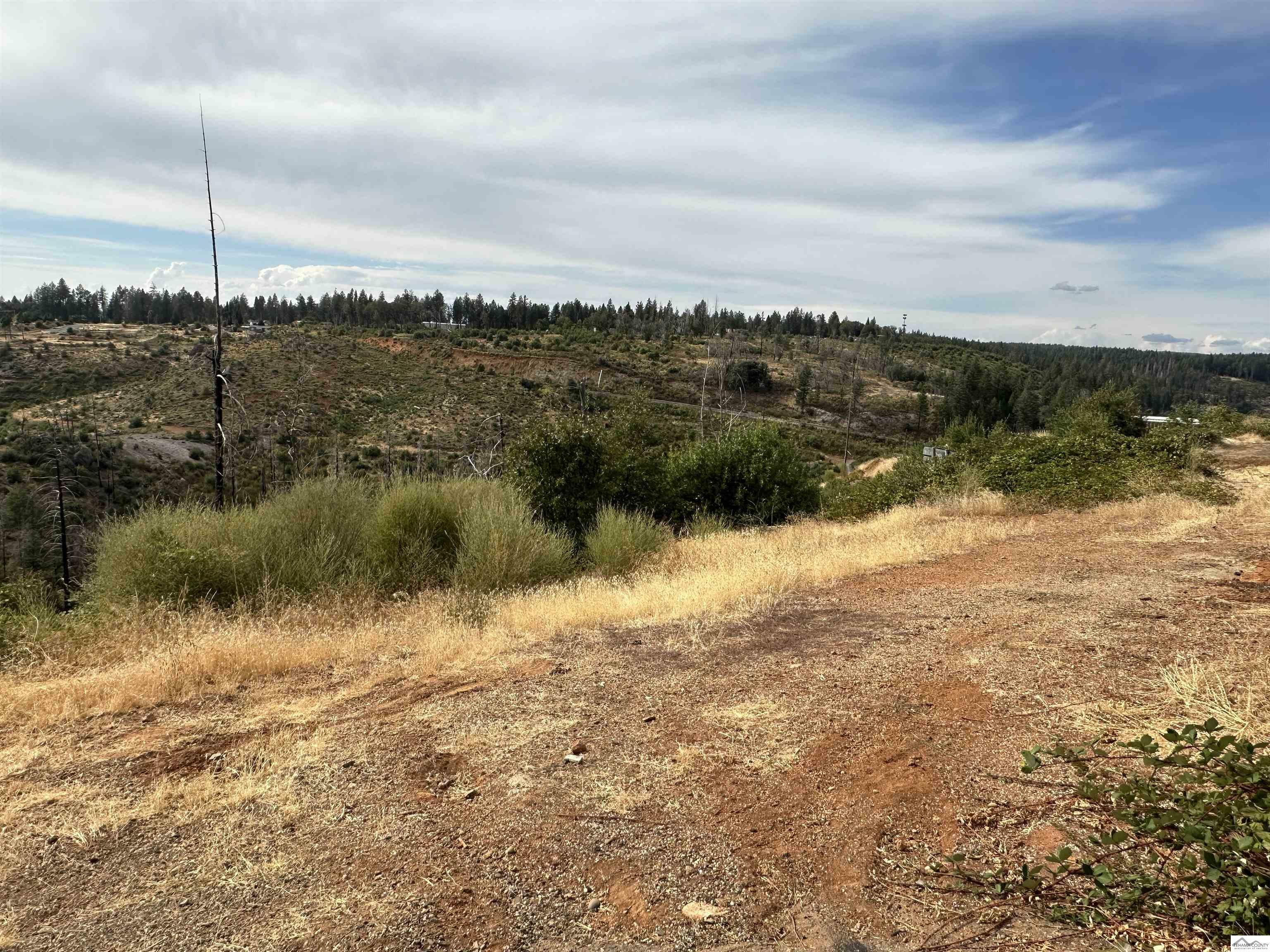 Property Photo:  13775 Sugar Pine Lane  CA 95954-9019 