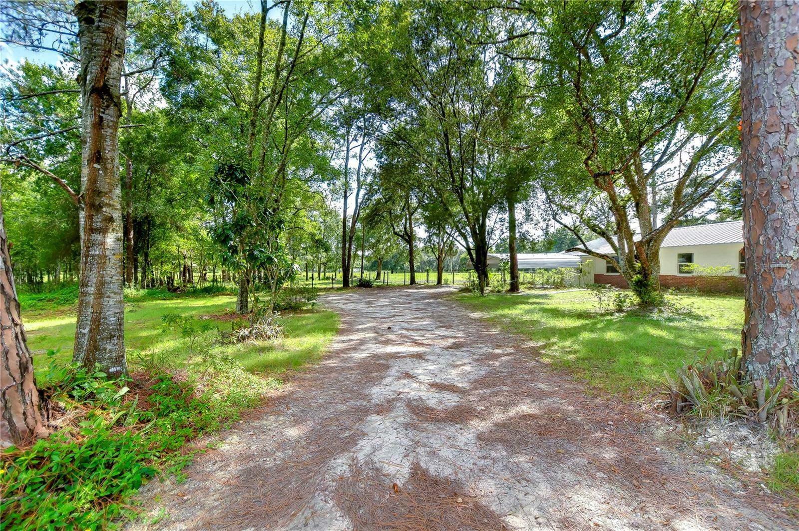 Property Photo:  7249 Berry Road  FL 33540 