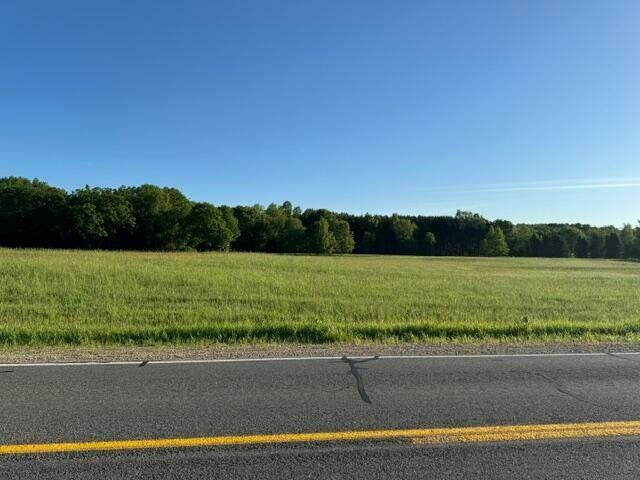 Property Photo:  Lot A Buchanan Rd  MI 49346 