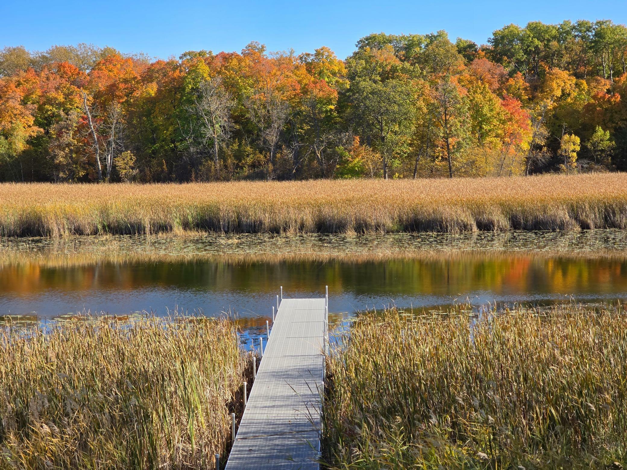 Property Photo:  Tract B Blybergs Lane  MN 56572 