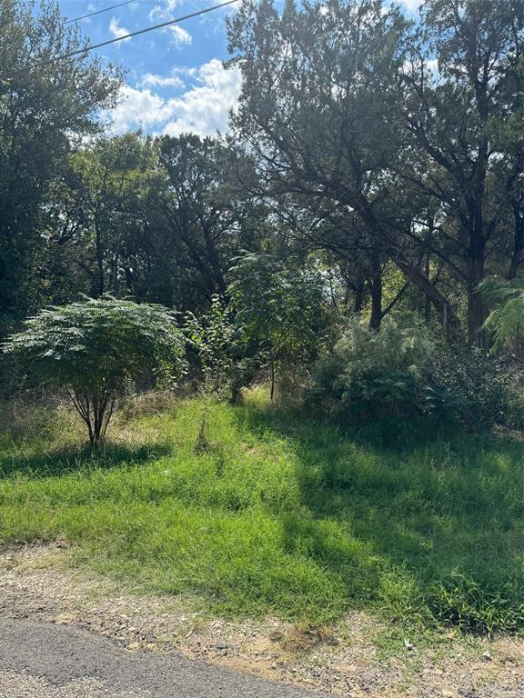 3608 Raintree Trail  Granbury TX 76048 photo