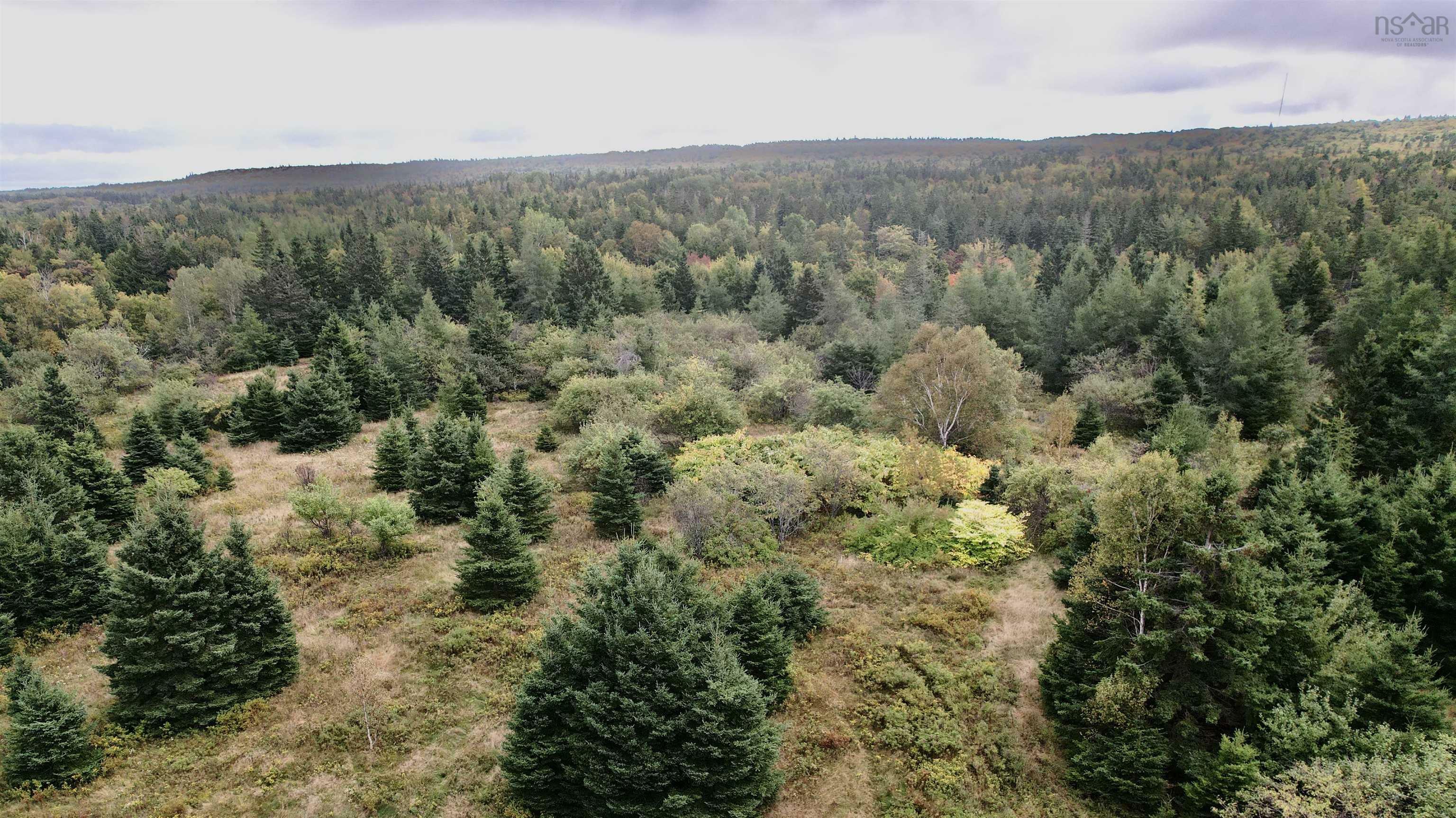 Property Photo:  8lots+80acres Beechmont Road  NS B2A 4K3 