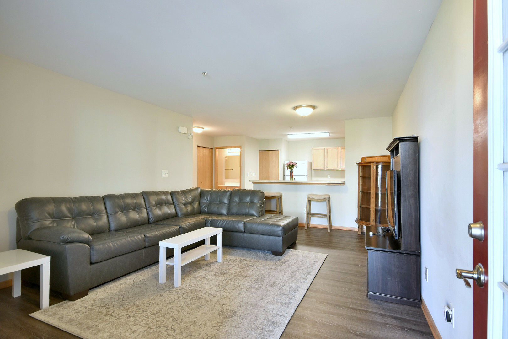 Property Photo:  154 Bertram Drive F  IL 60560 