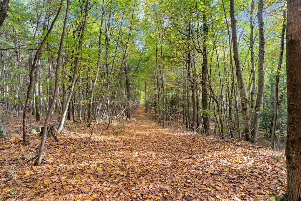 Property Photo: 7 White Avenue MA 01516
