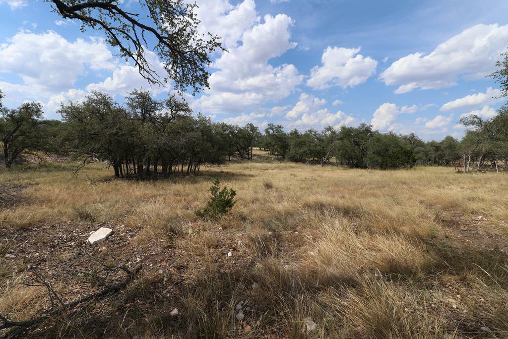 Property Photo:  97 Nott Branch Rd  TX 78631 