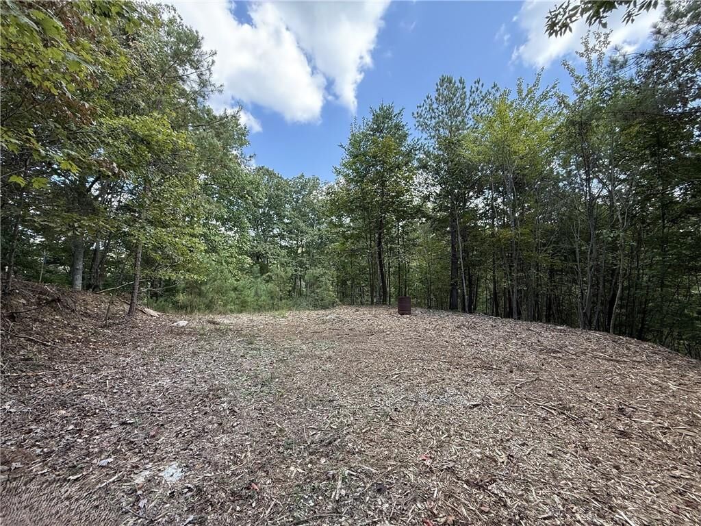 Property Photo: 52 Grizzley Court GA 30734
