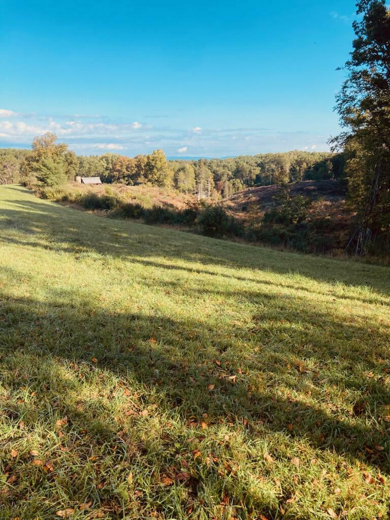 Property Photo:  Tbd Muddy Creek Mountain Road  WV 24901 