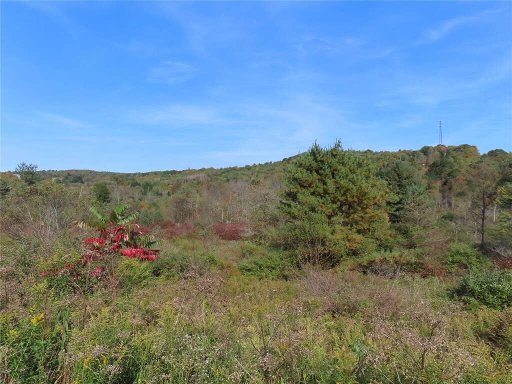 Property Photo:  0 State Highway 41 10.222 #1  NY 13778 