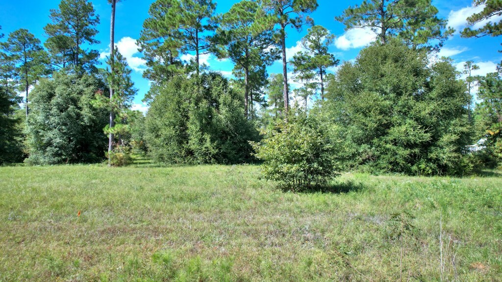 Property Photo:  Lot 9 Blk B Swann Dr.  GA 31015 