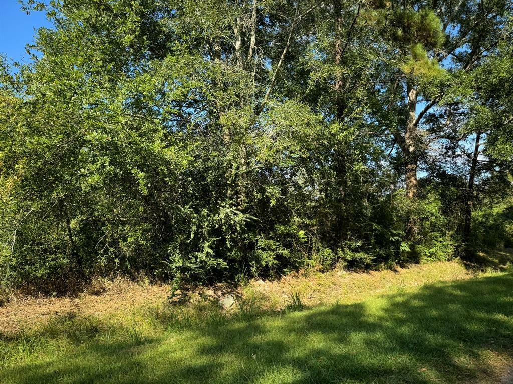 Property Photo:  Lot 70 Pine Park Boulevard  TX 77632 