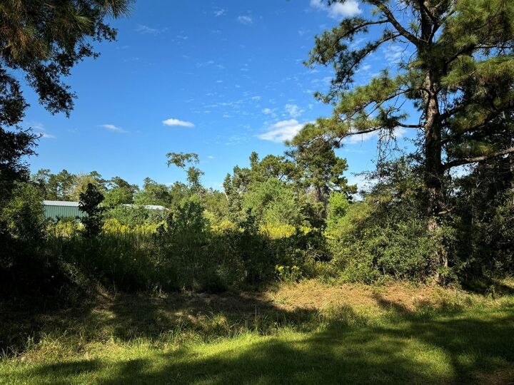 Property Photo:  Lot 70 Pine Park Boulevard  TX 77632 