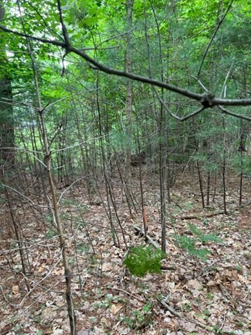Property Photo: 30 32 Mendon St MA 01568