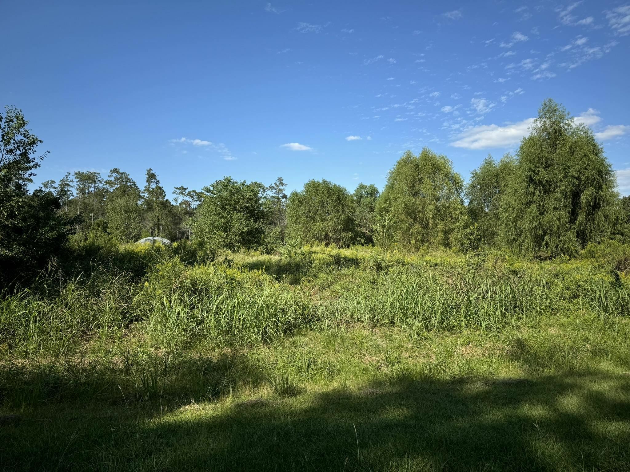 Property Photo:  Lot 75 Pine Park Blvd  TX 77632 