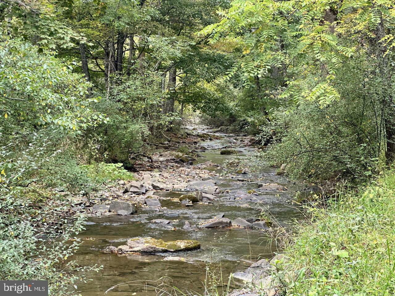 Property Photo:  0 Turkey Creek Road  WV 24983 