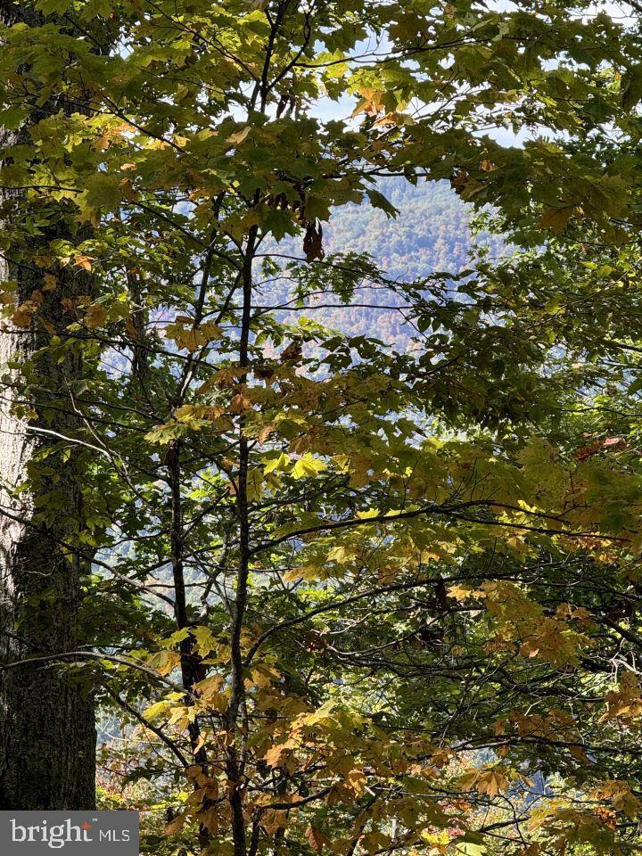 Property Photo:  0 Kates Mountain Rd.  WV 24925 