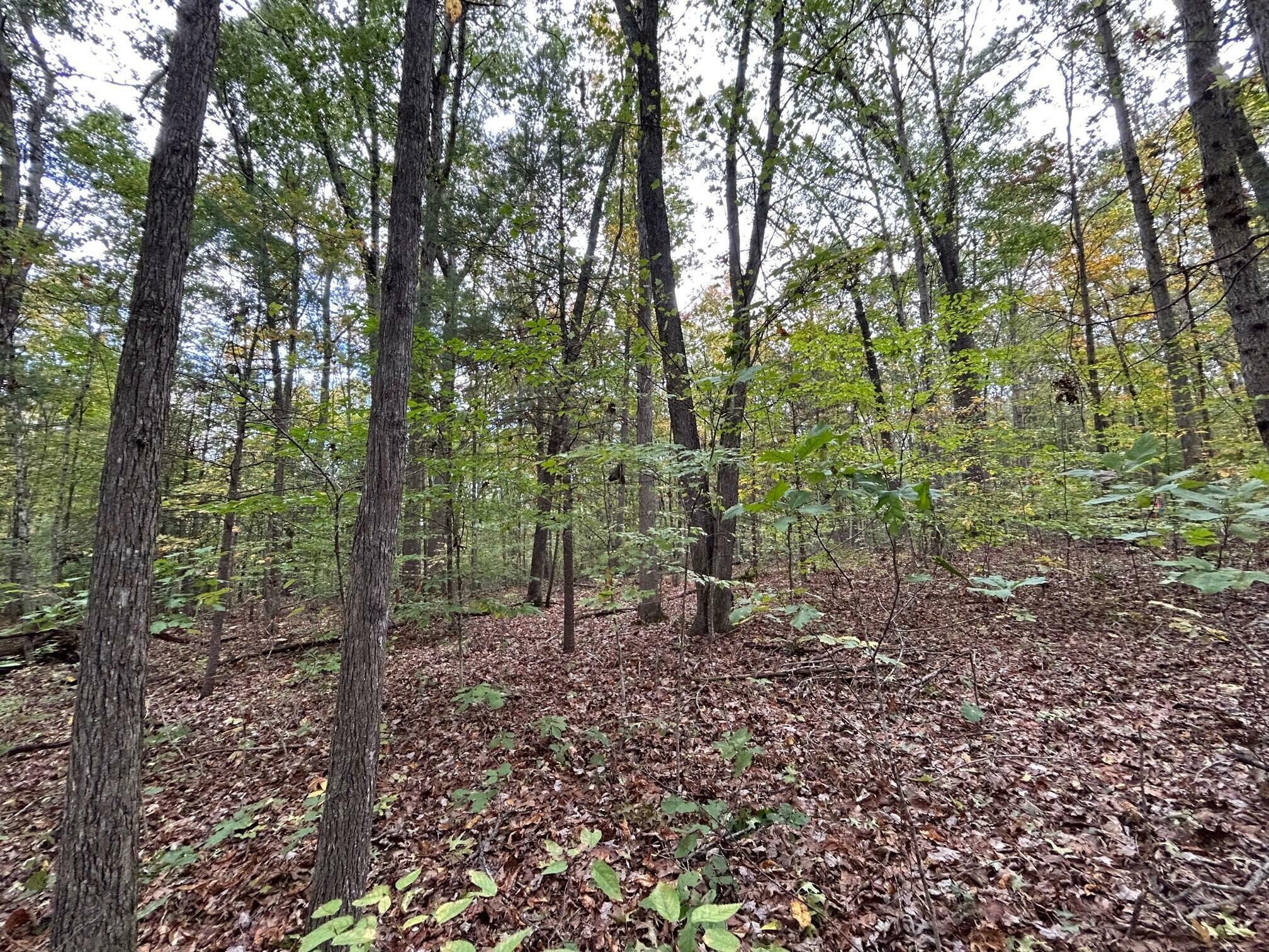 871 Fleshman Dr (Lot 1)  Frankford WV 24983 photo