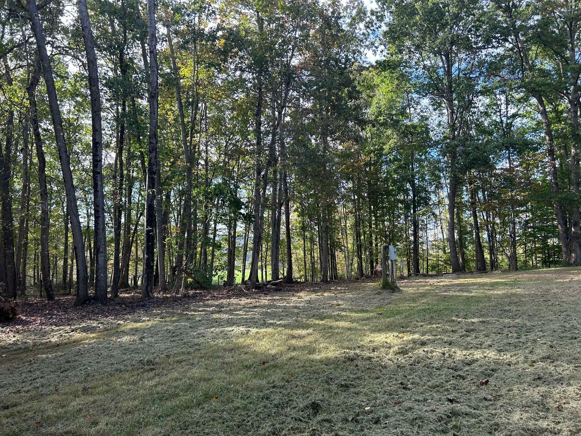 Property Photo:  Lot 4 871 Fleshman Dr  WV 24983 