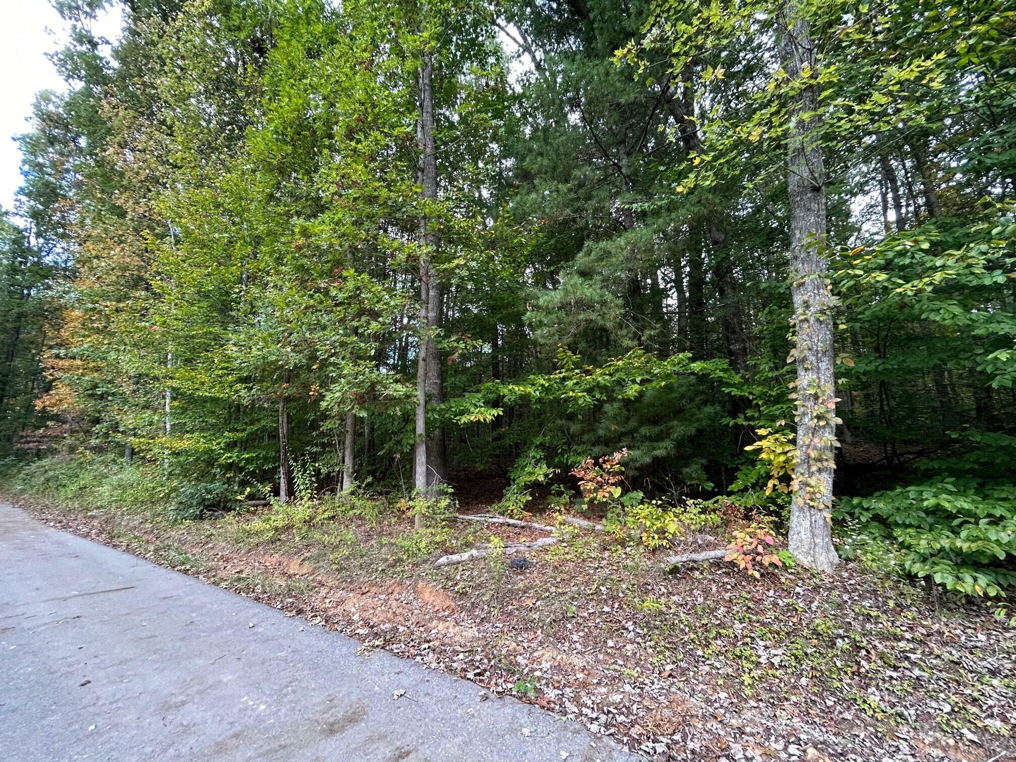 Property Photo:  Lot 2 871 Fleshman Dr  WV 24983 