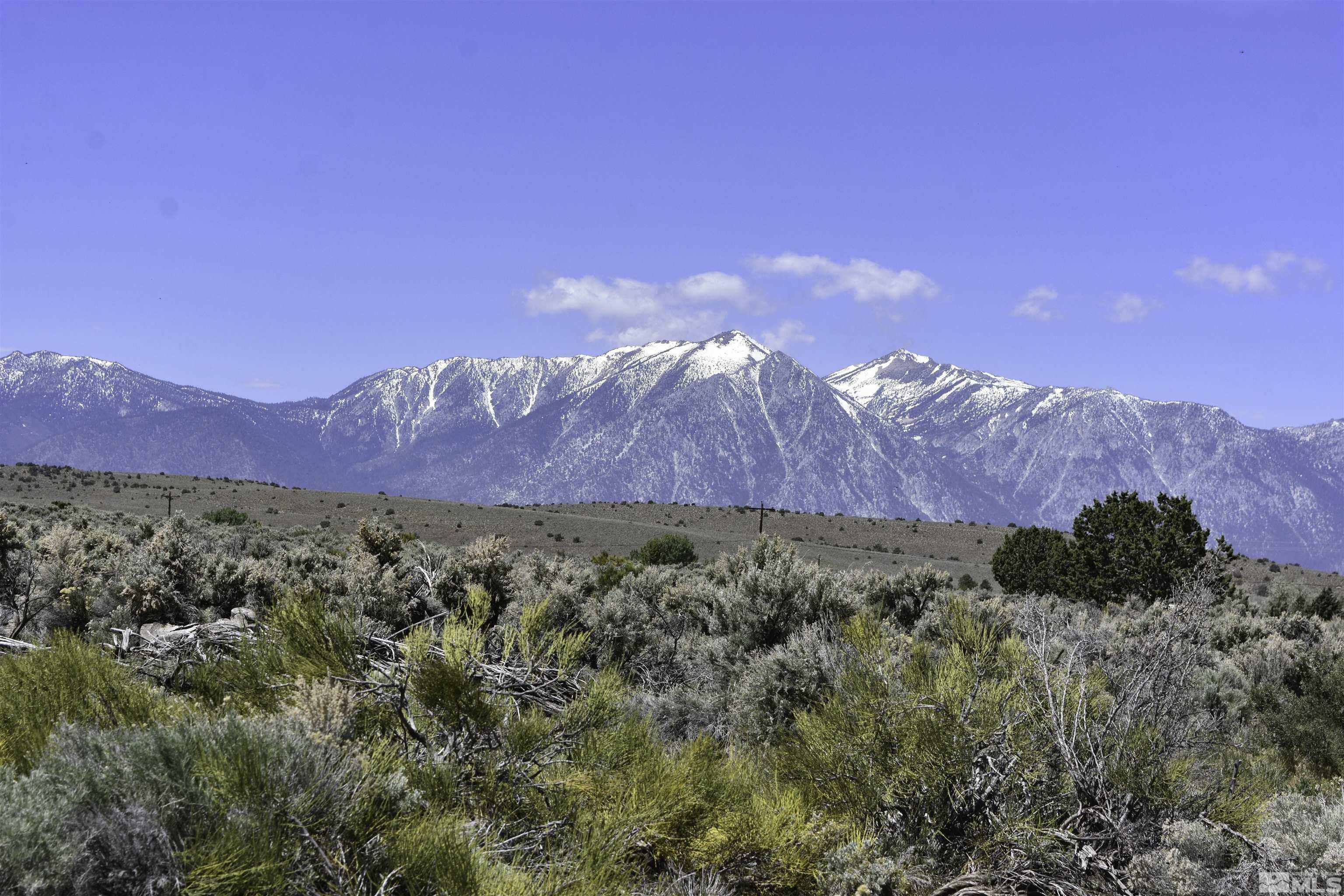 Property Photo:  Tbd Homestead  NV 89410 