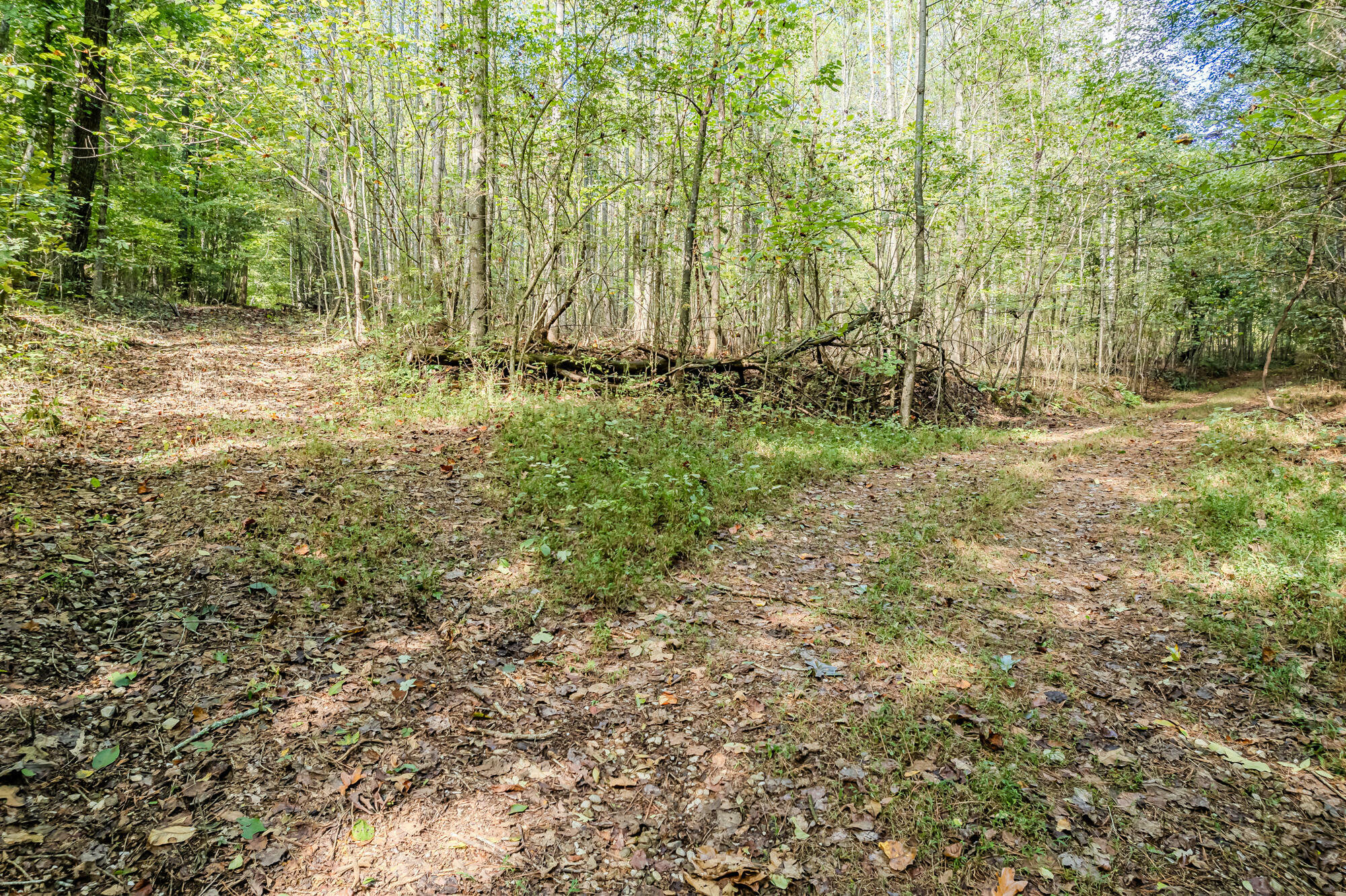 Property Photo:  0 O B Davis Road  TN 37325 