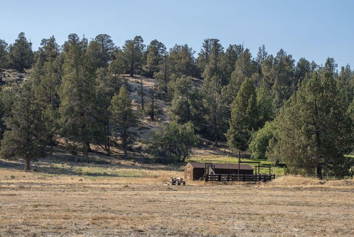 Property Photo: 19450 Dusty Loop OR 97703