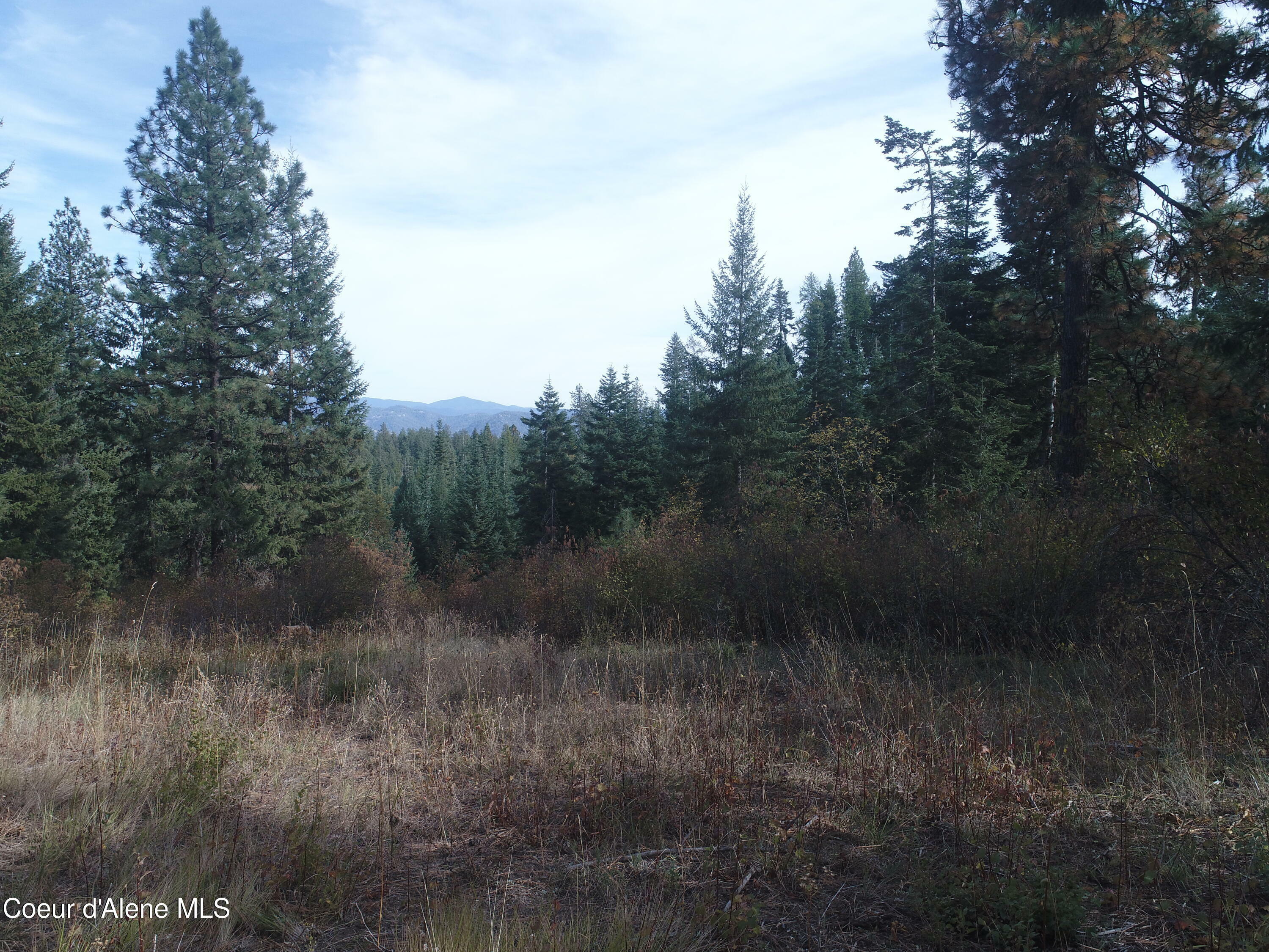 Property Photo:  Nna Rooster Rd  ID 83814 