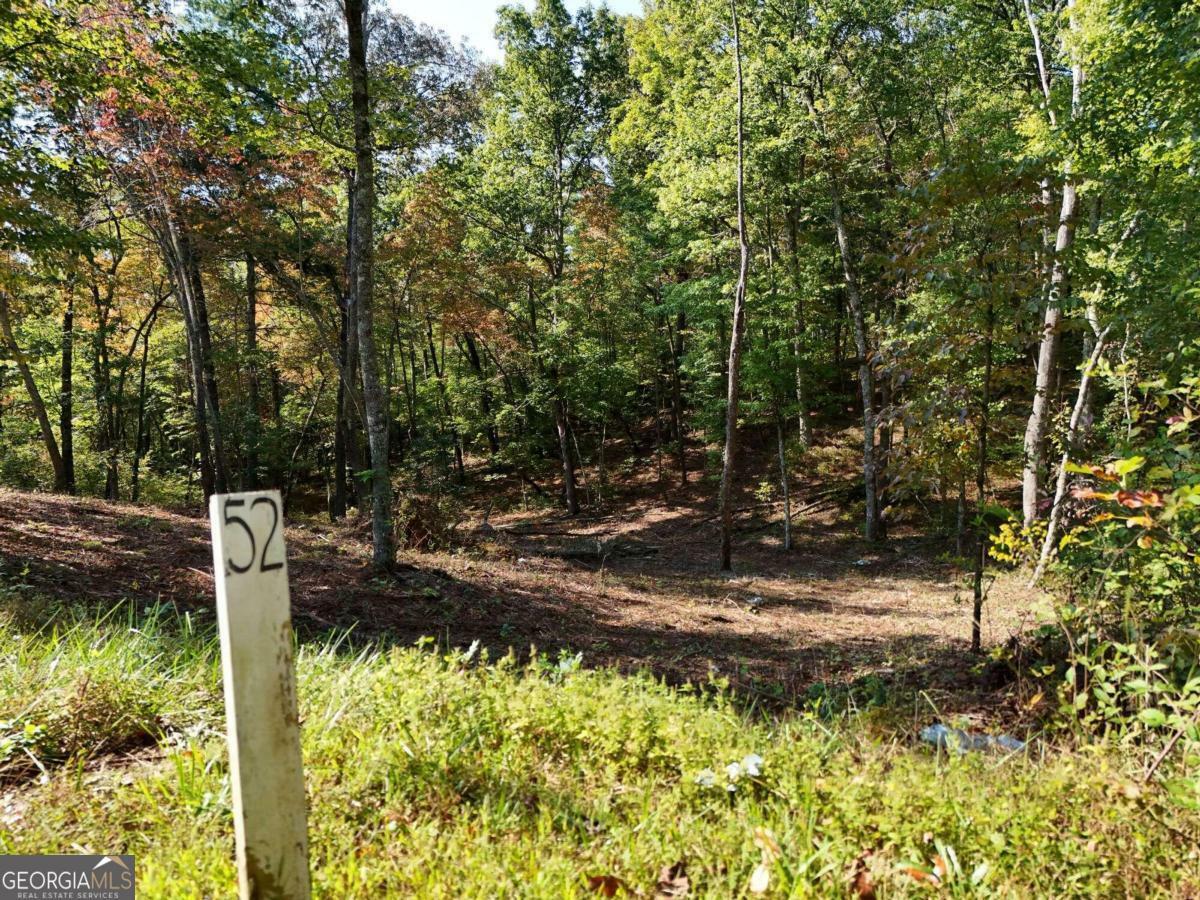 Property Photo:  Lot 52 Hilton Drive  GA 30540 