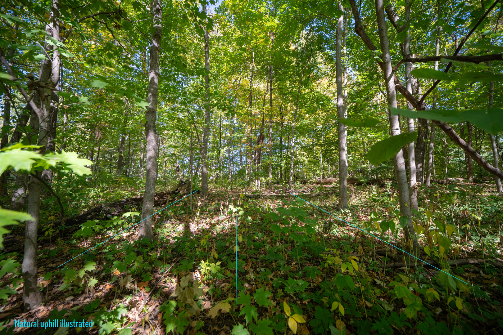 Property Photo:  Lot A Picton &Amp Bloomingdale Rd Road  IL 60108 