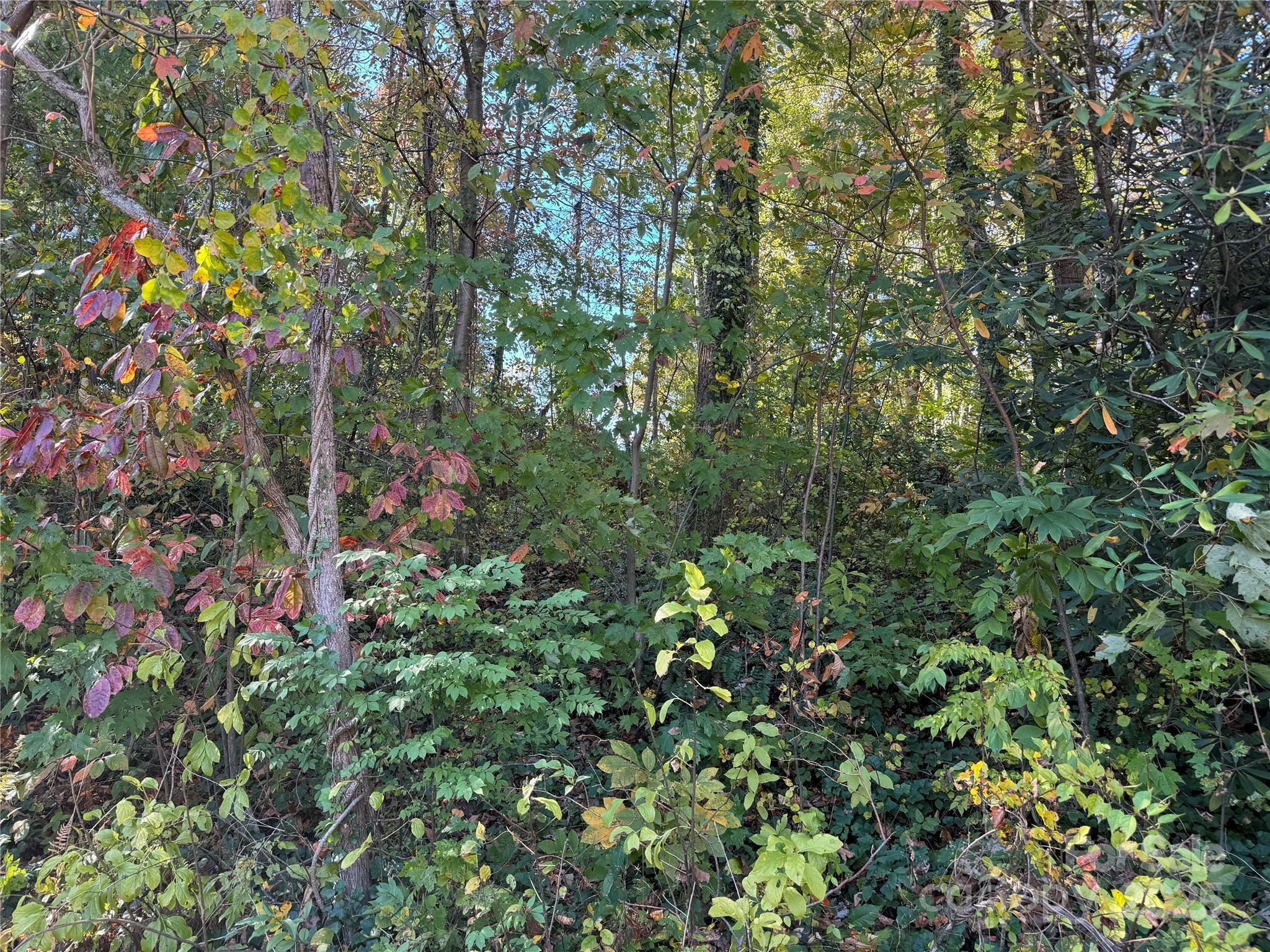 Property Photo: 00 Upper Ridgewood Boulevard NC 28739