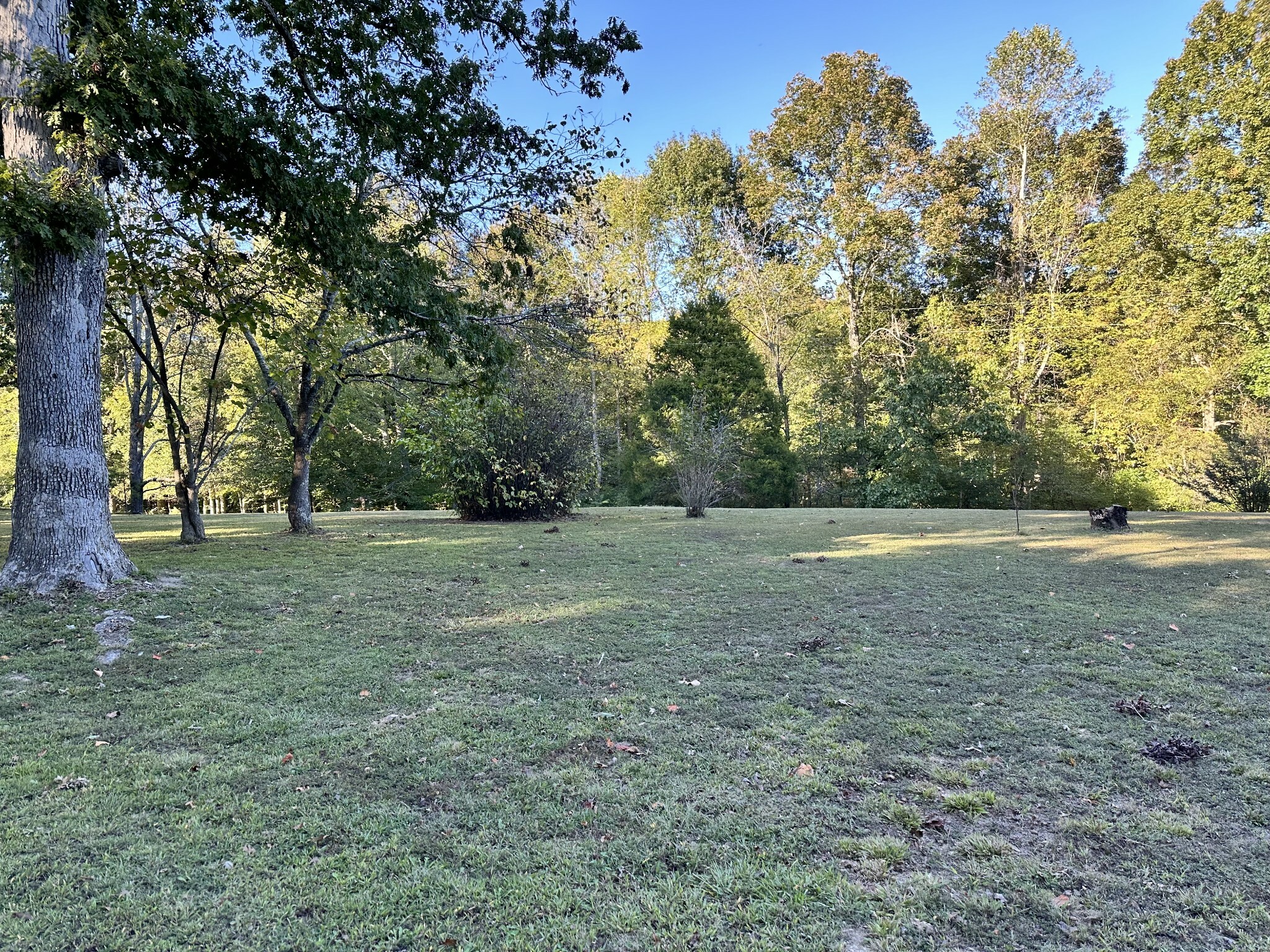 Property Photo:  8376 Chestnut Ridge Rd  TN 37352 