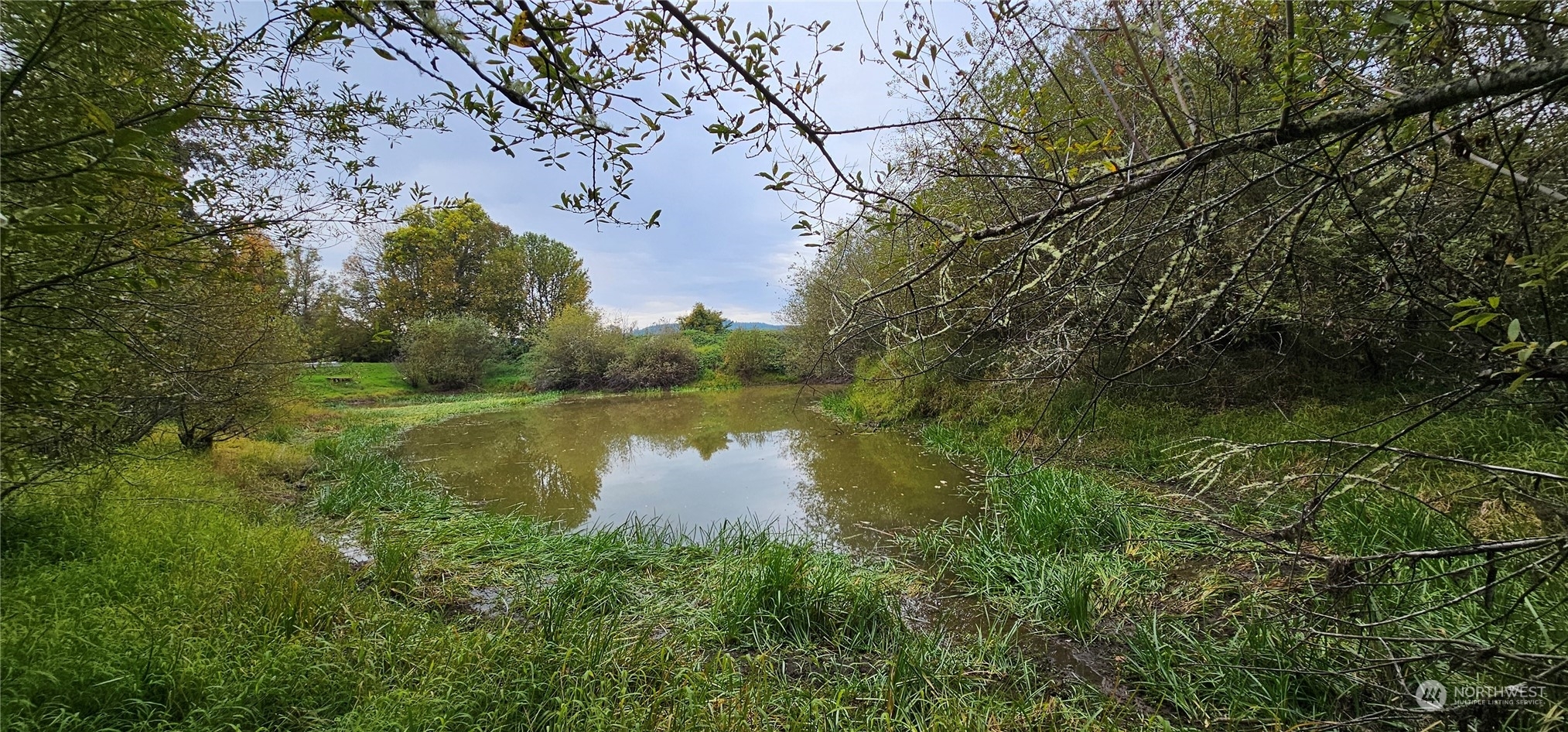 Property Photo:  620 Boistfort Rd  WA 98538 