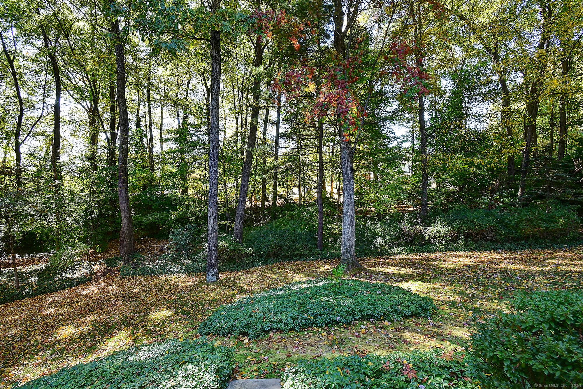 Property Photo:  103 El Toro Drive  CT 06010 