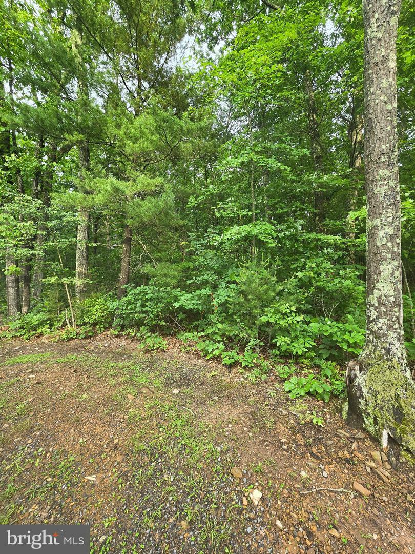 Property Photo:  Lot 4 Cattail Road  VA 22602 