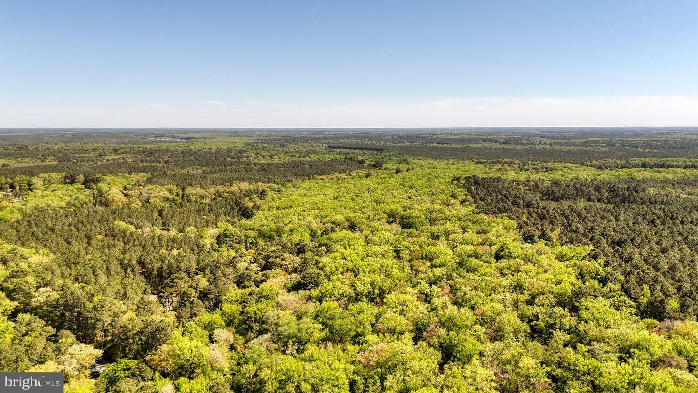 Property Photo: 0 Meadow Bridge Road MD 21863