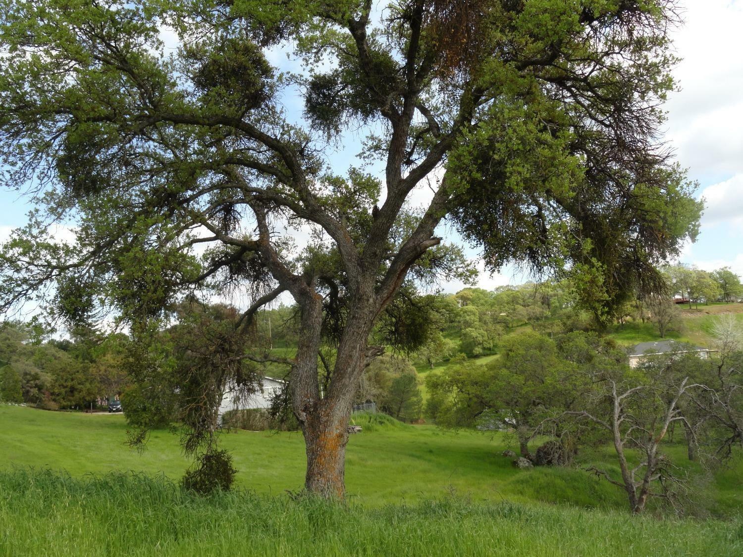 Property Photo: 3623 Hanley CA 95252