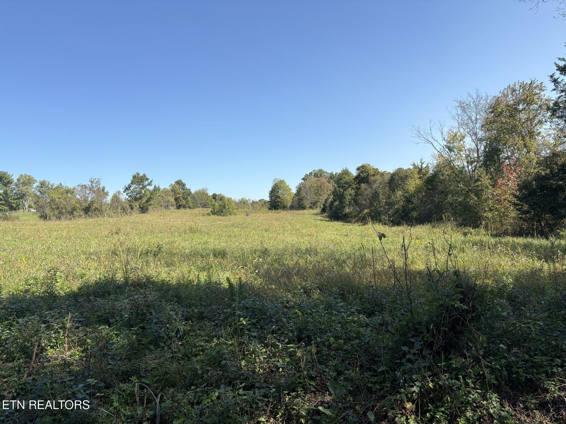 Property Photo:  172 Copenhaver Rd  TN 37771 