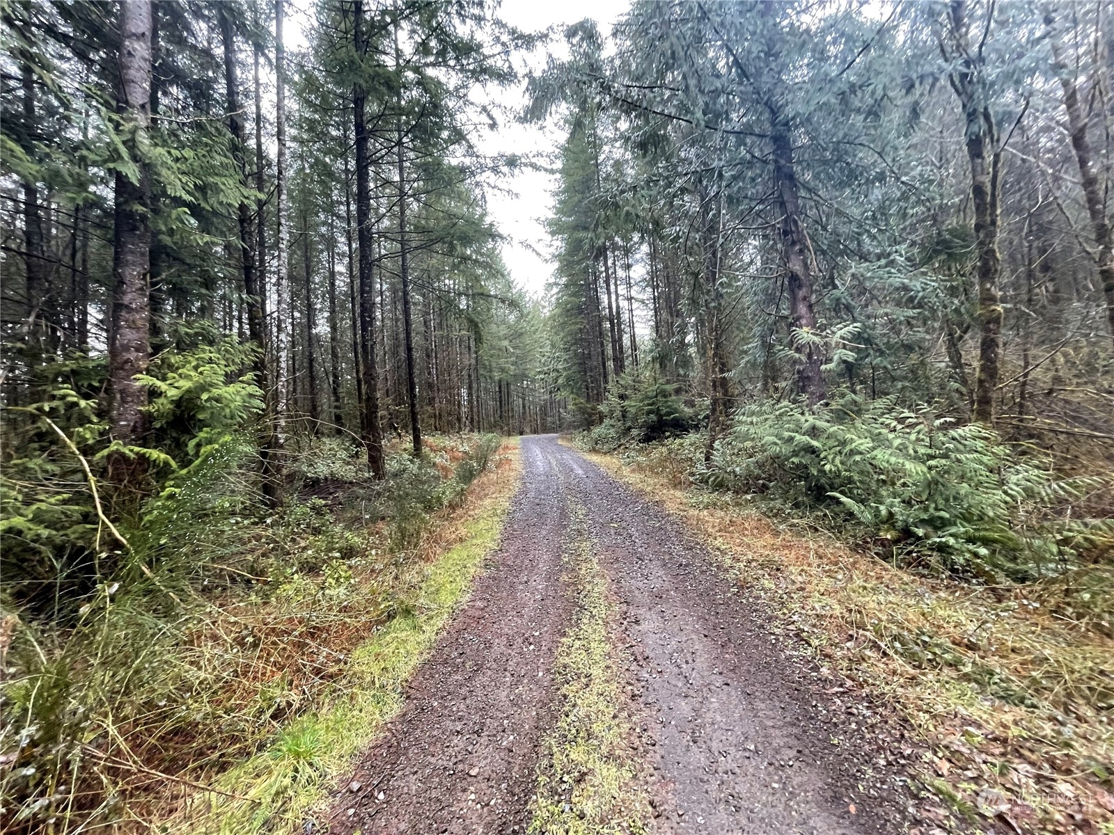 Property Photo:  0 Lot A NE Westerholm Road  WA 98606 