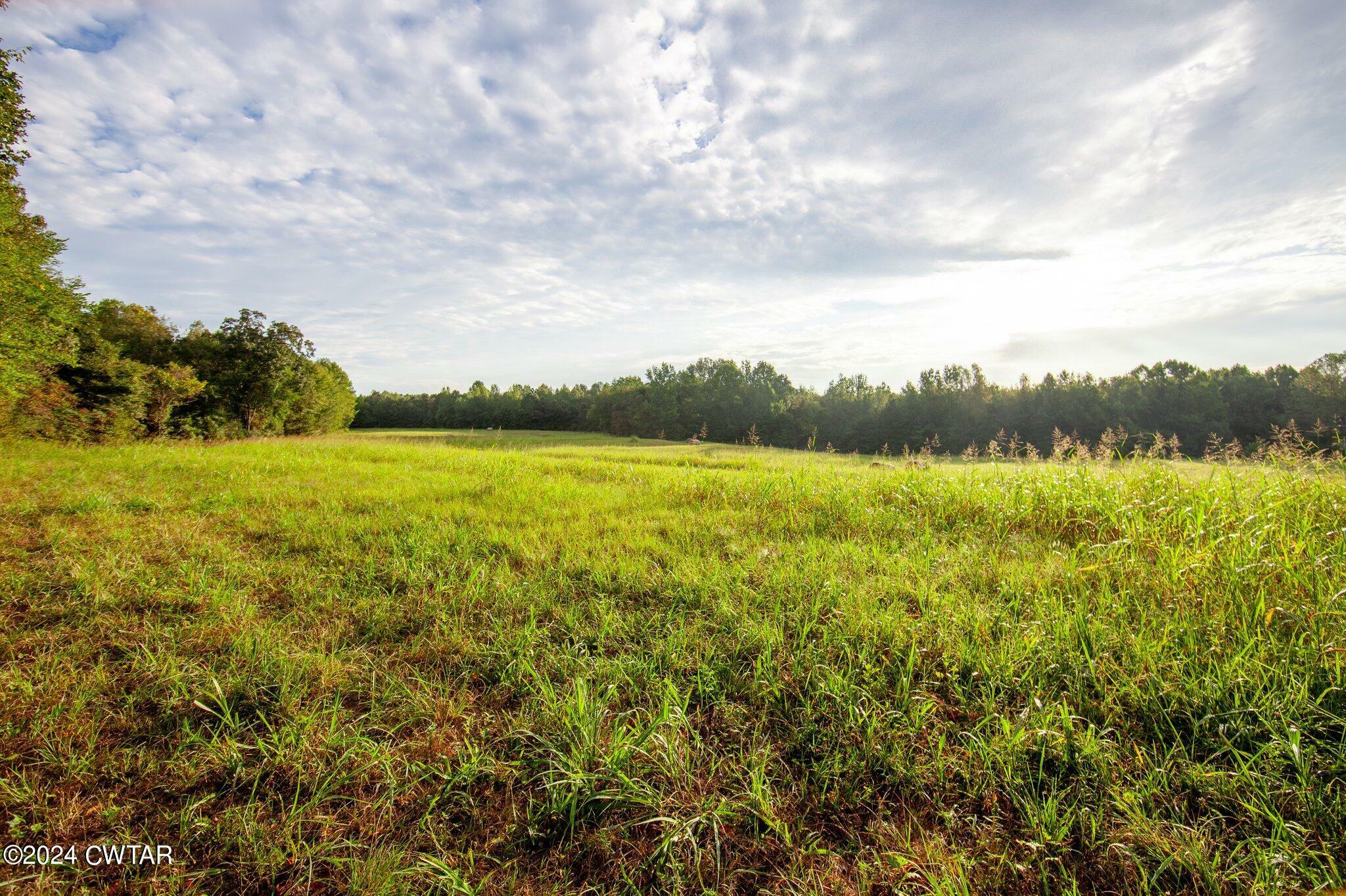 Property Photo:  1980 State Highway 200  TN 38345 