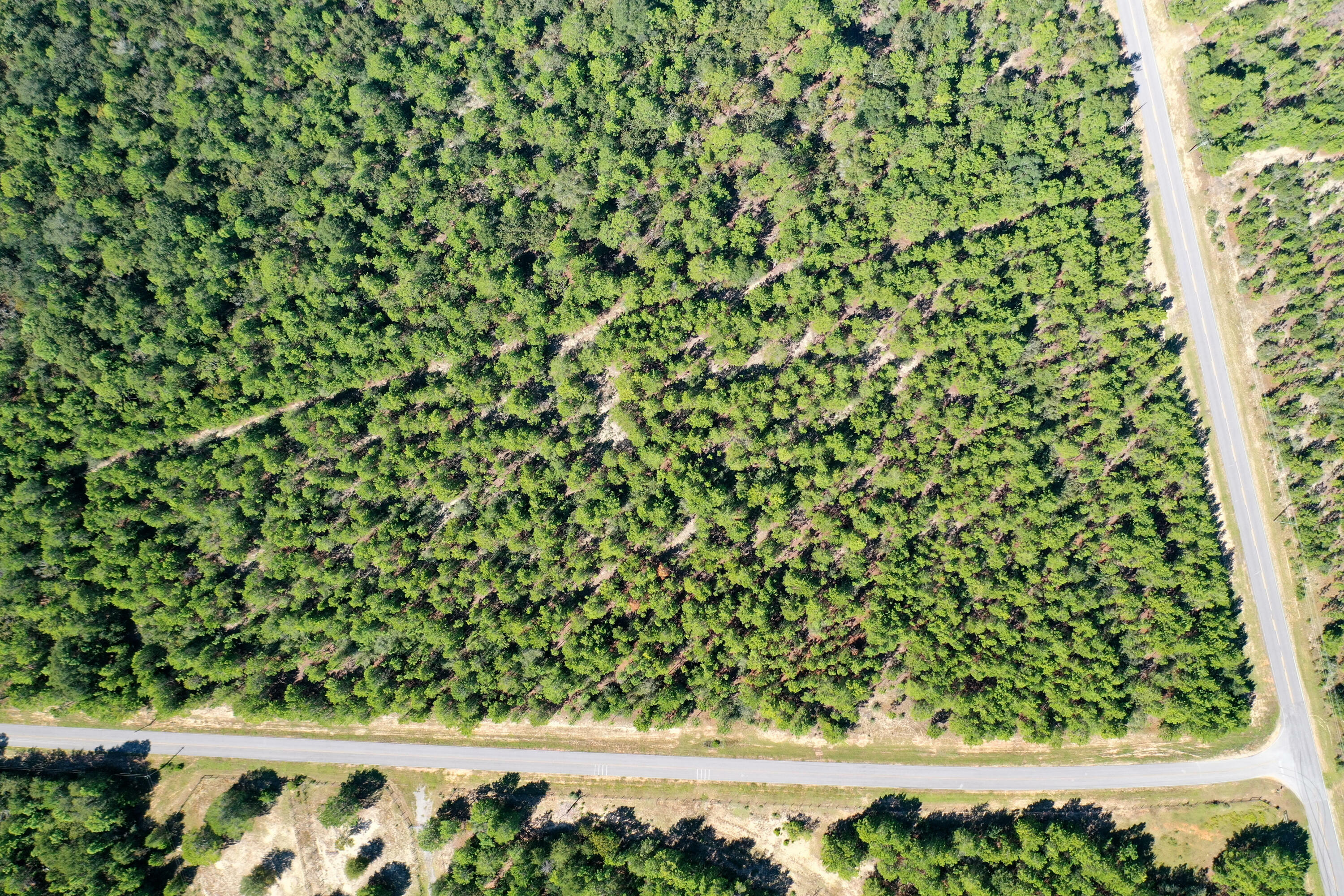 Property Photo:  8 Acres Crowder Chapel Road  FL 32539 