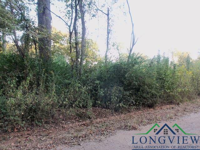 Tbd Whiteside Lane Cr 1127 D  Kilgore TX 75662-0000 photo