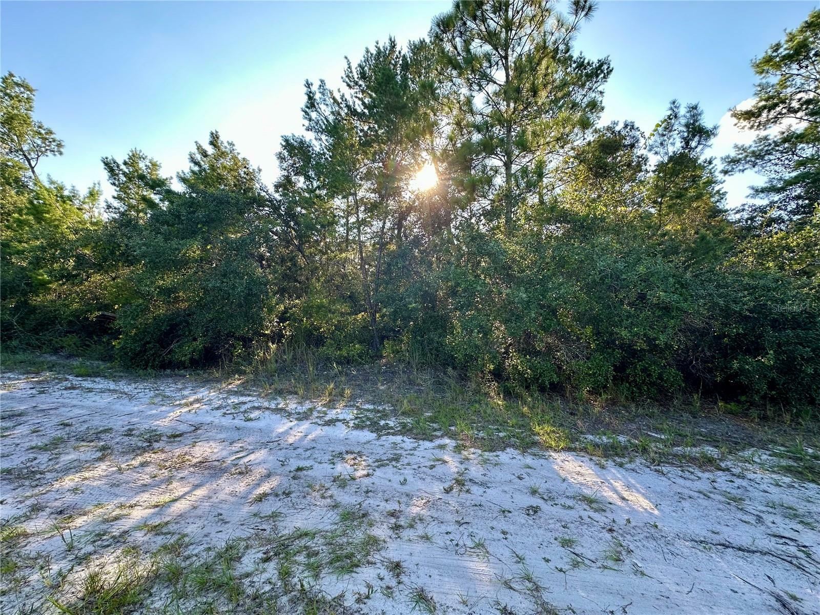 Property Photo:  Central Parkway  FL 32724 