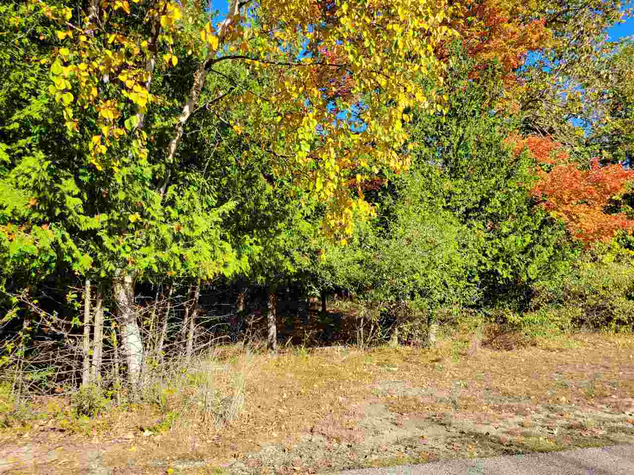 Property Photo:  Lot 1 &Amp Lot 2 Stonebridge  MI 49720 