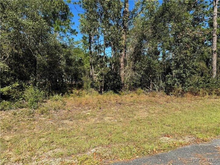 Property Photo: 3671 W Galtonia Lane FL 34433