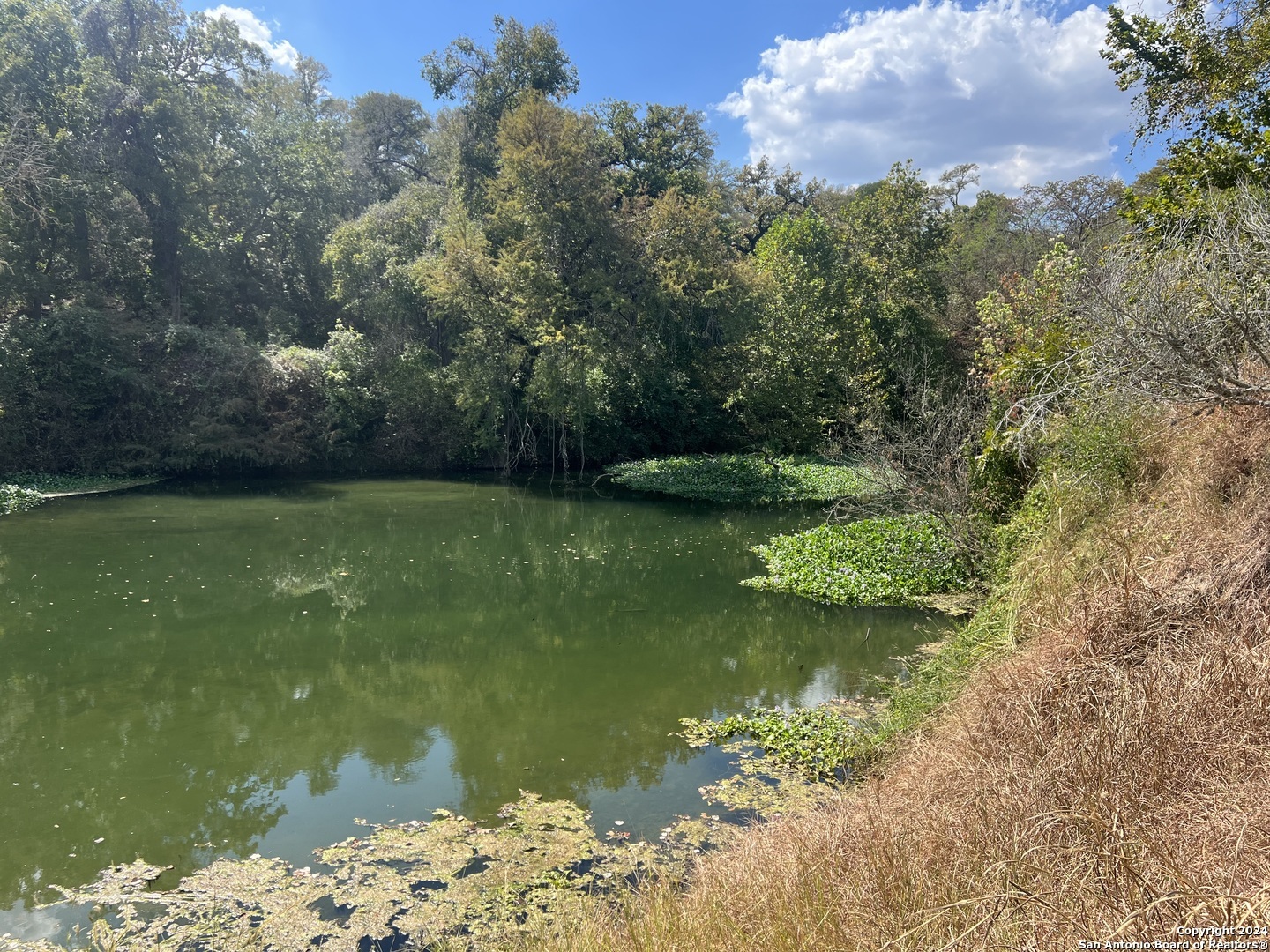 Property Photo:  1250 Darst Creek Lane  TX 78155 