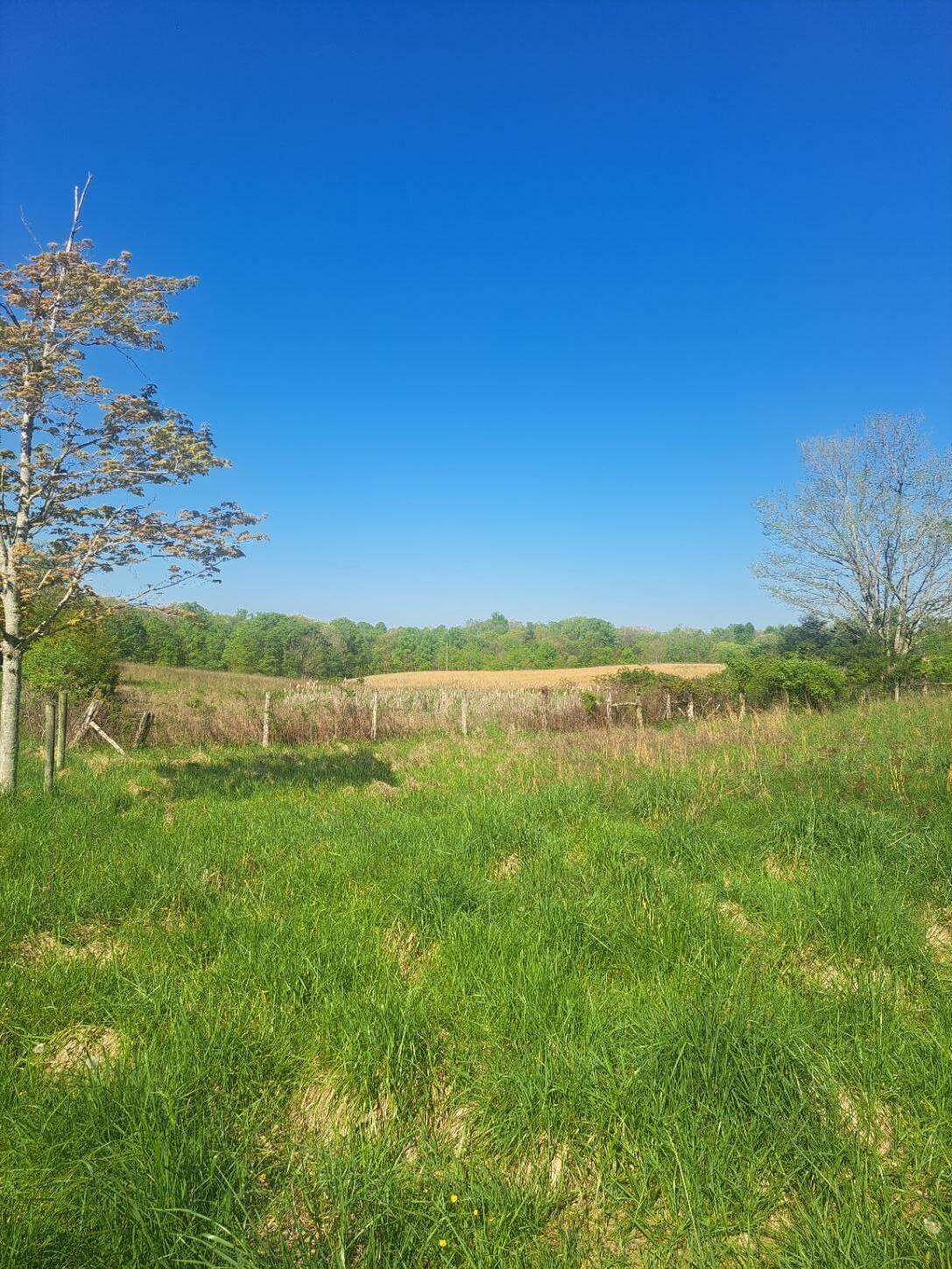 Property Photo:  5441 Wayside Creamery Rd  WV 24985 