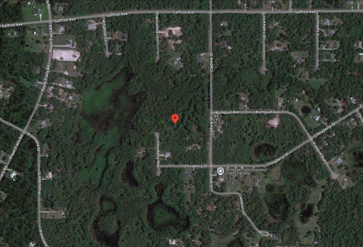 Property Photo:  Tbd Chinaberry Way  FL 32736 